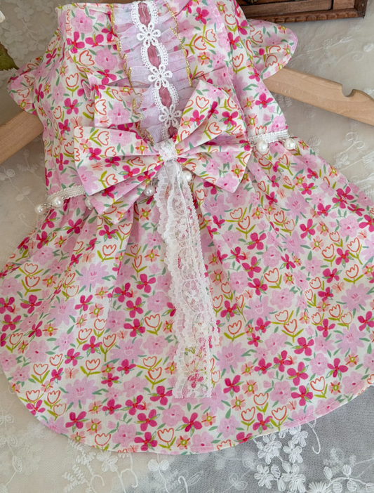 Rosalie Lace Pet Dress