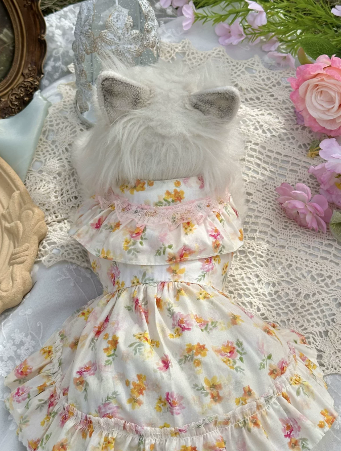 Apricot Meadow Pet Dress
