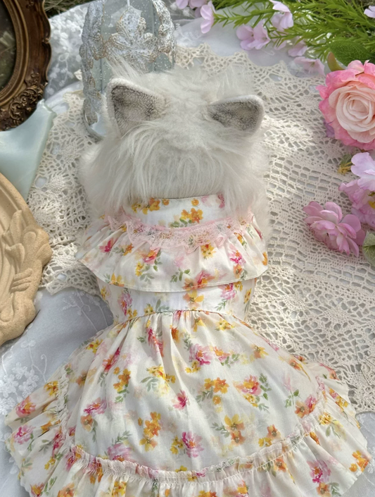Apricot Meadow Pet Dress