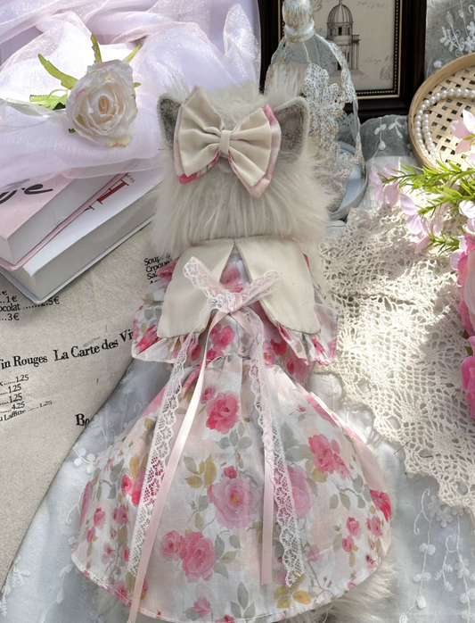 Daisy Collar Pet Dress