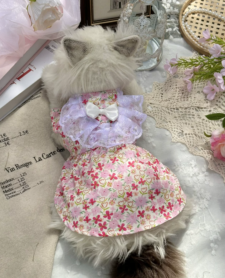 Rose Blush Pet Dress