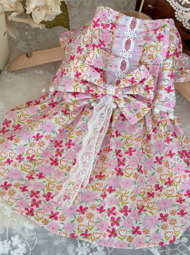 Rosalie Lace Pet Dress