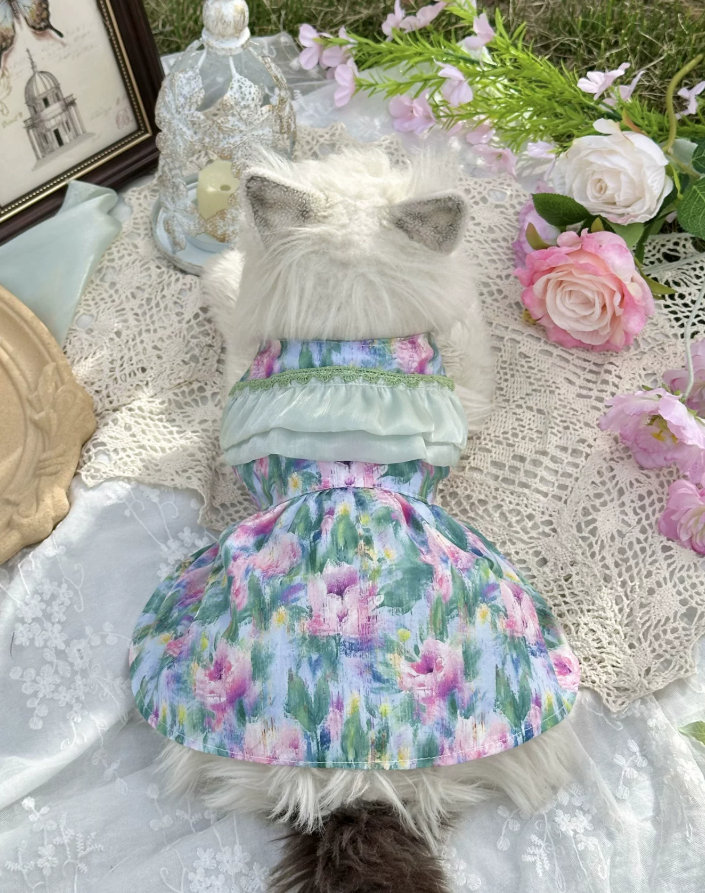 Mint Aurora Pet Dress