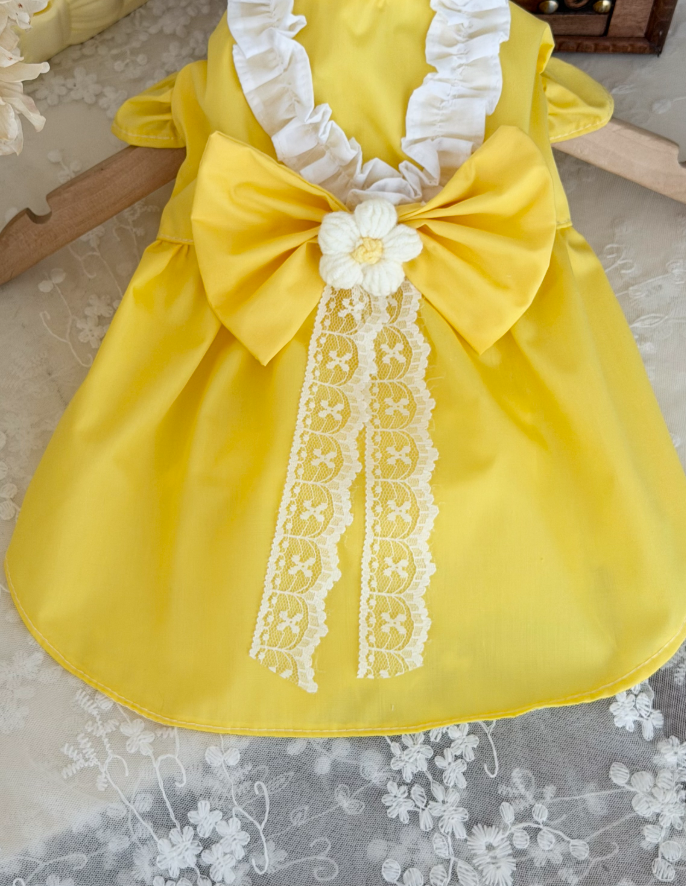 Buttercup Belle Pet Dress
