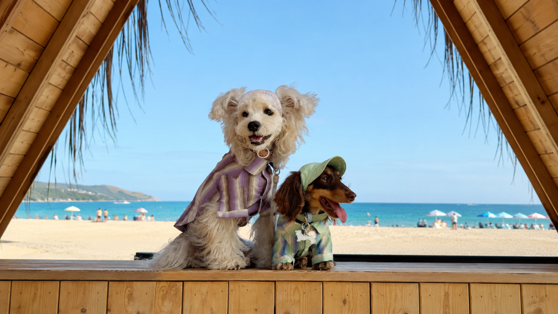 Velvet Meadow Ritual — A Soft Utility Pet Couture Editorial by The Calm Atelier