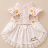 Daisy Bear Pet Shirt