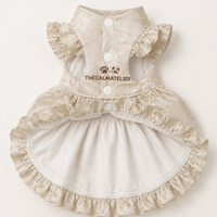 Champagne Reverie Pet Cheongsam