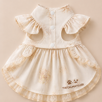 Golden Mist Pet Dress