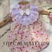 Rose Blush Pet Dress