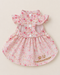 Rosalie Lace Pet Dress