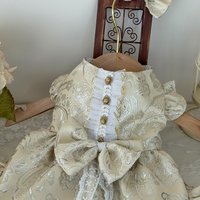 Champagne Reverie Pet Cheongsam