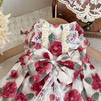 Rose Manor Pet Dress