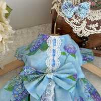Hydrangea Breeze Pet Top