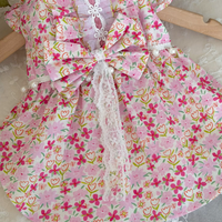 Rosalie Lace Pet Dress