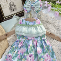 Mint Aurora Pet Dress