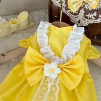 Buttercup Belle Pet Dress