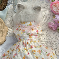 Apricot Meadow Pet Dress