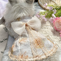 Golden Mist Pet Dress
