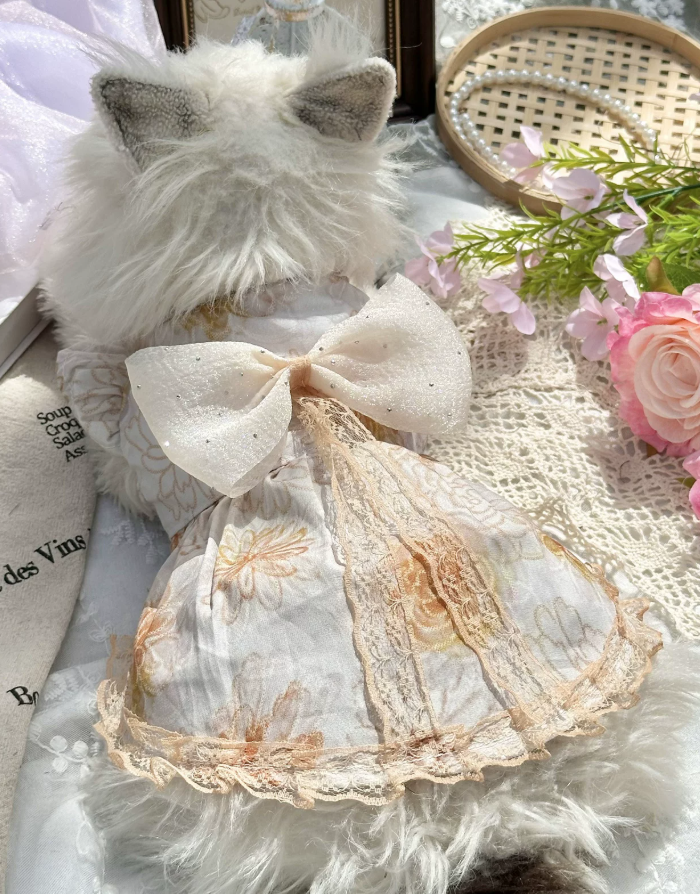 Golden Mist Pet Dress