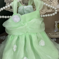 Apple Glow Tulle Dress