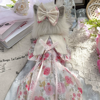 Daisy Collar Pet Dress