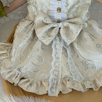 Champagne Reverie Pet Cheongsam