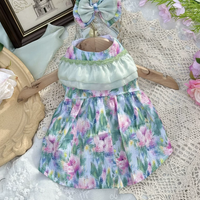 Mint Aurora Pet Dress