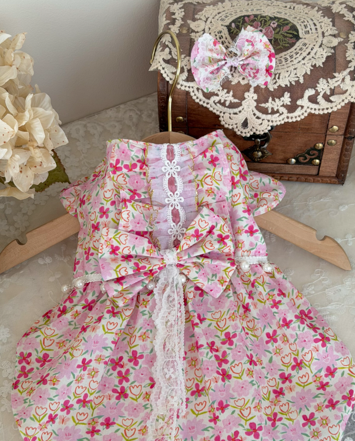 Rosalie Lace Pet Dress