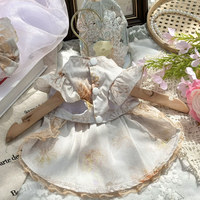 Golden Mist Pet Dress