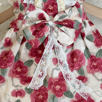 Rose Manor Pet Dress