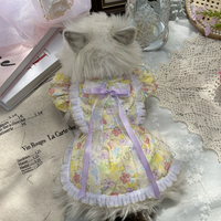 Golden Meadow Ribbon Dress