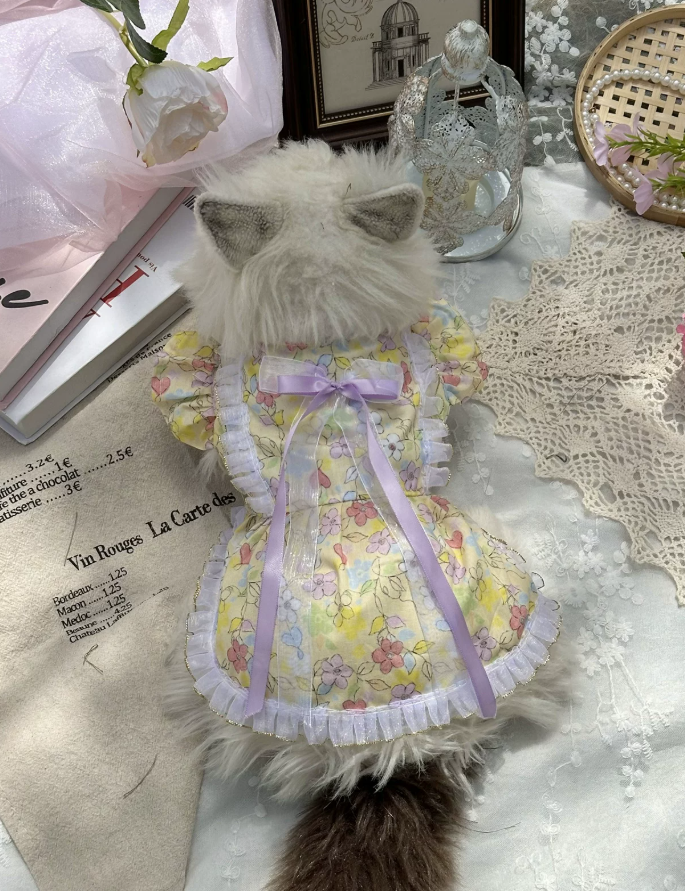 Golden Meadow Ribbon Dress