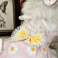 Daisy Bear Pet Shirt