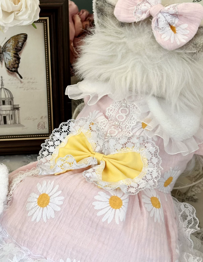 Daisy Bear Pet Shirt