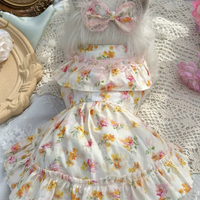 Apricot Meadow Pet Dress