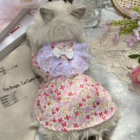 Rose Blush Pet Dress
