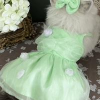Apple Glow Tulle Dress