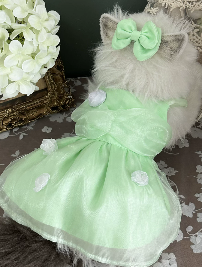 Apple Glow Tulle Dress