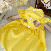 Buttercup Belle Pet Dress
