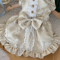 Champagne Reverie Pet Cheongsam
