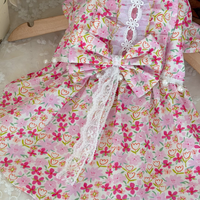 Rosalie Lace Pet Dress