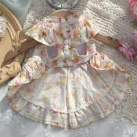 Apricot Meadow Pet Dress