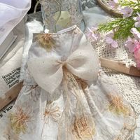 Golden Mist Pet Dress
