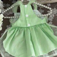 Apple Glow Tulle Dress