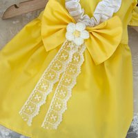 Buttercup Belle Pet Dress