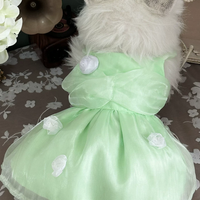 Apple Glow Tulle Dress