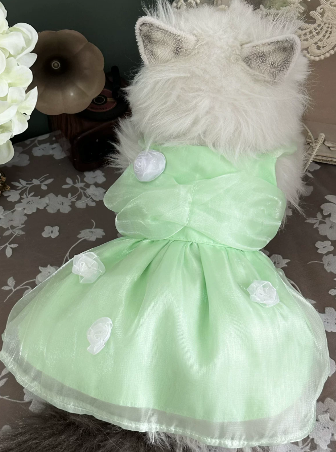 Apple Glow Tulle Dress