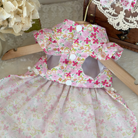 Rosalie Lace Pet Dress