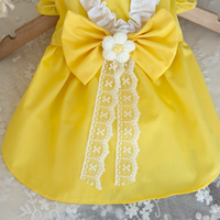 Buttercup Belle Pet Dress