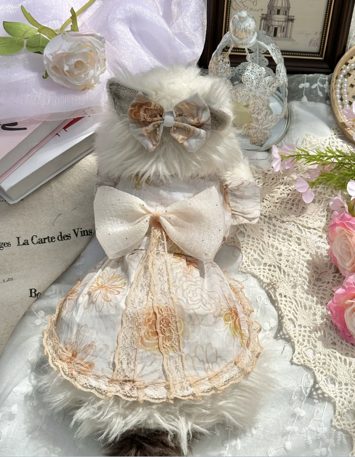 Golden Mist Pet Dress
